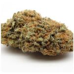 Шишки AK47 (Гидропоника, Бошка) VHQ в Кореновске Шишки AK47 (Гидропоника, Бошка) VHQ в Кореновске