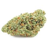 Шишки OG Kush (Гидропоника, бошки) VHQ в Кореновске Шишки OG Kush (Гидропоника, бошки) VHQ в Кореновске